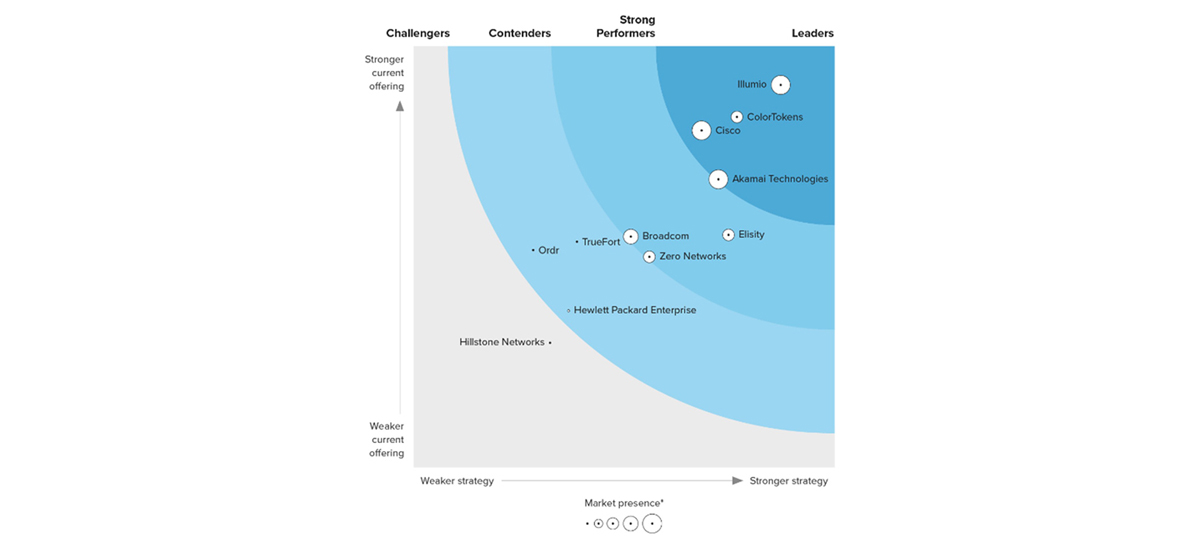 proware_solution_colortokens_forrester_wave_2024